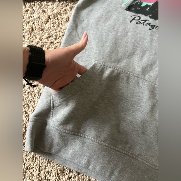 Patagonia Free Hand Fitz Roy Ahnya Hoodie in gray - Picture 9 of 13